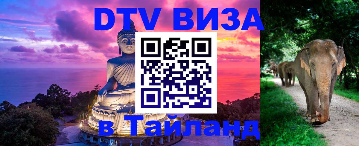 Оформить DTV визу в Тайланд Михайловск 
