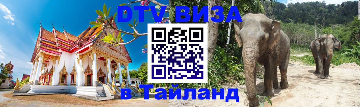 Стоимость и условия DTV визы — оформление в Таиланд под ключ - Михайловск 